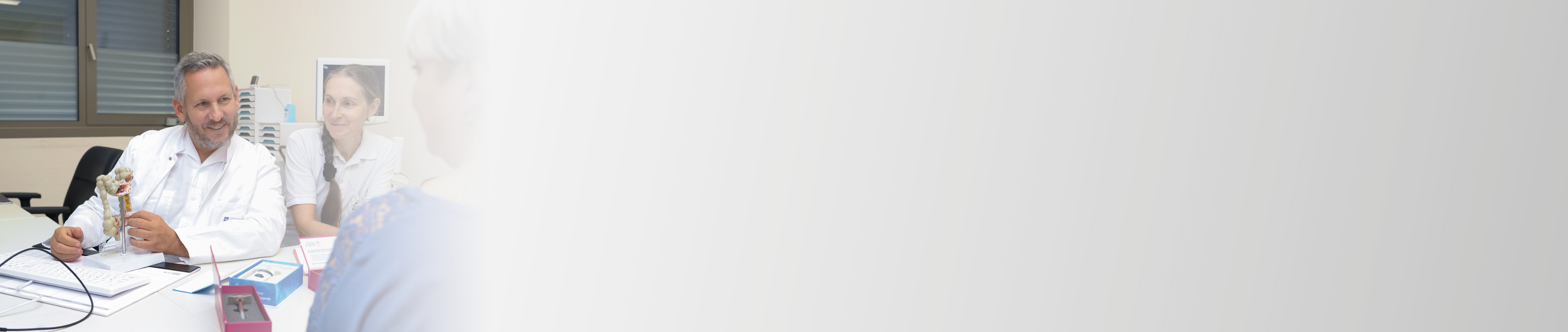 Header Bilder SV 2024