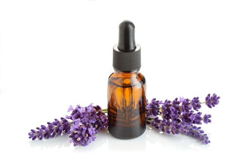 Lavender essential oil in glass bottle with dropper isolated on white background