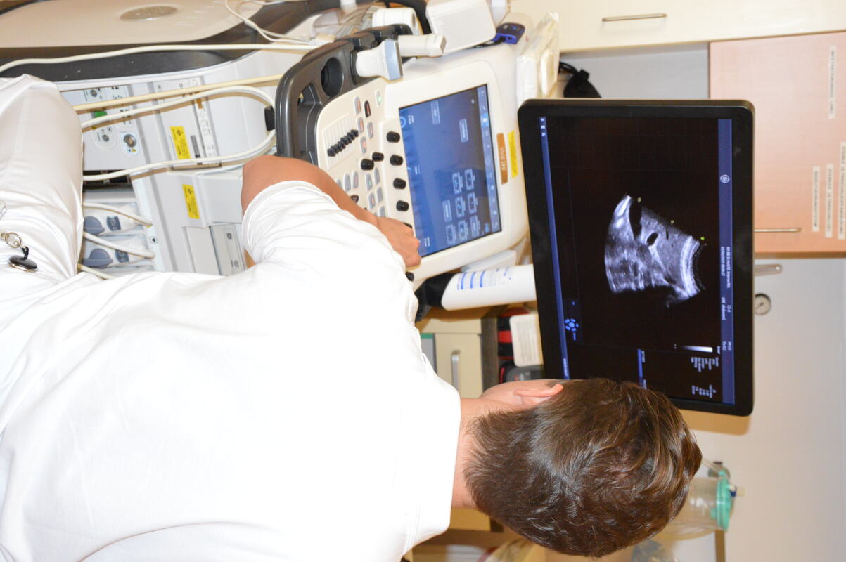 Ultraschall Dr. Fischer Bernhard