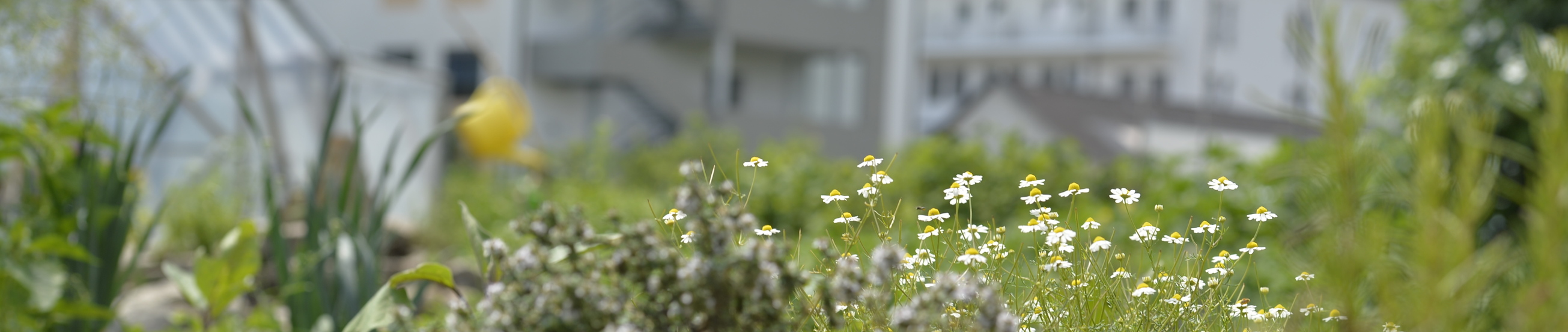 Nachhaltigkeit im EKH