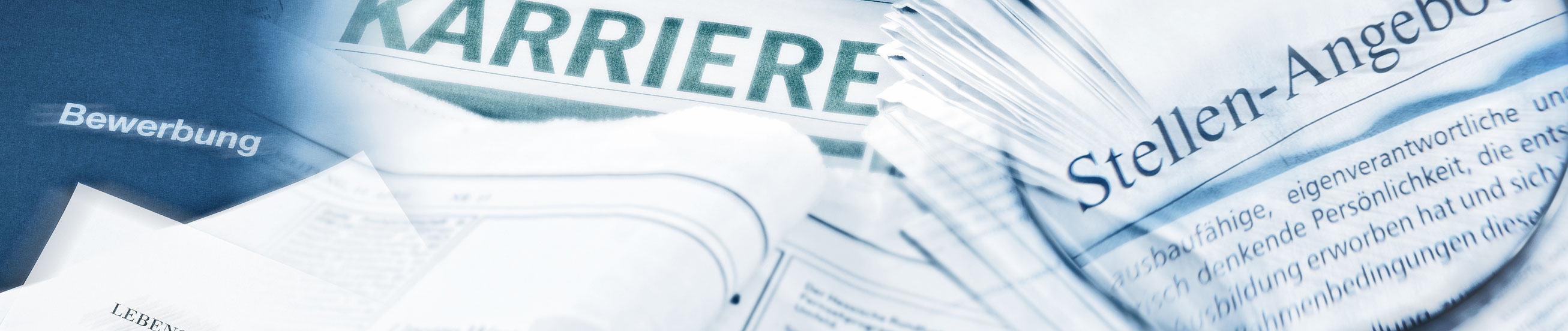 Das Bild zeigt mehrere Zeitungsausschnitte rund um das Thema Karriere.