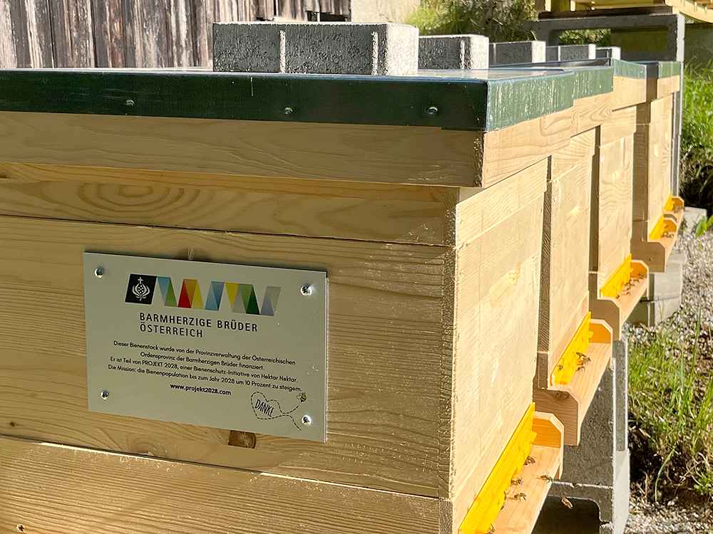 Das Bild zeigt Bienenstöcke in Graz-Eggenberg.
