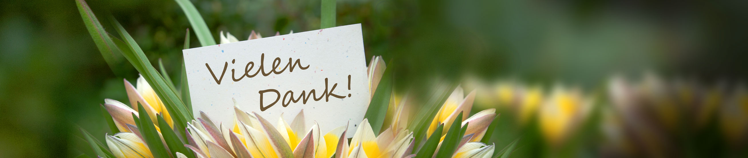 Das Bild zeigt Blumen und eine Dankeskarte