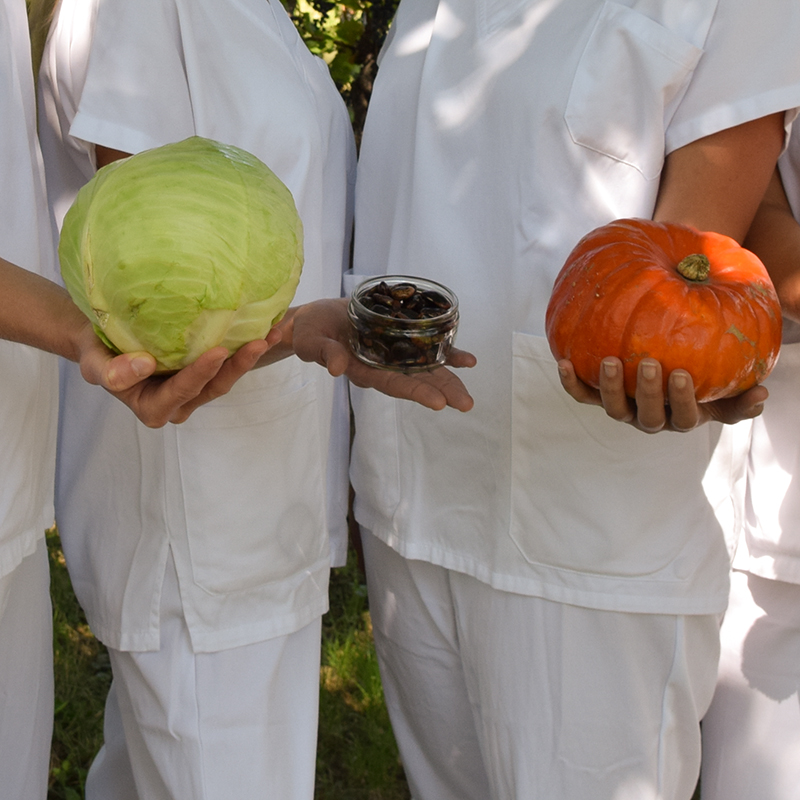 Unsere Diätologinnen halten diverse Gemüsesorten.