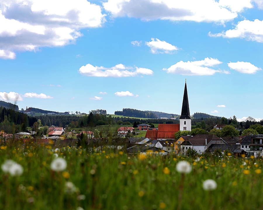 Scheinkenfelden ist die Heimat der Lebenswelt 
