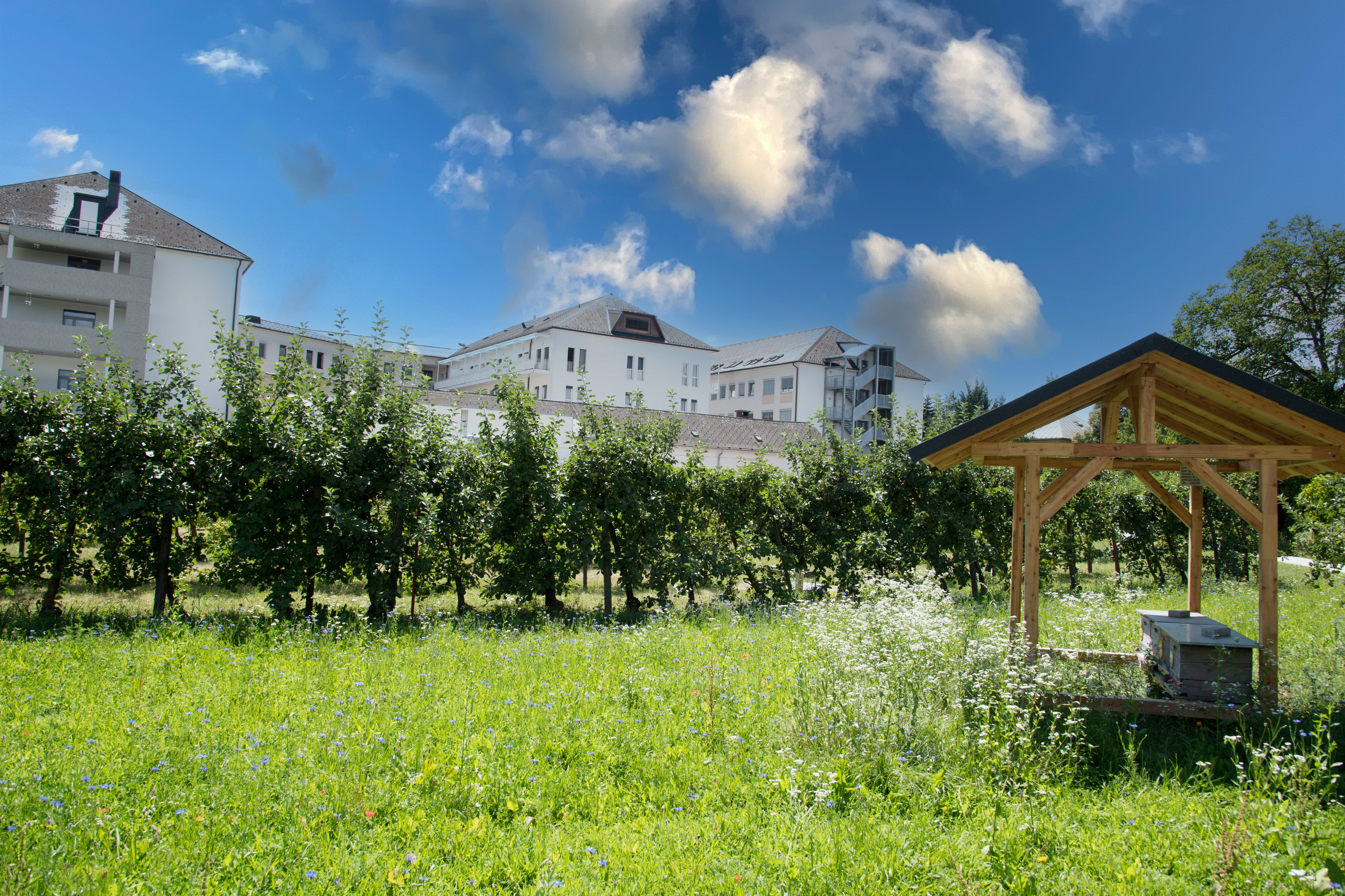 Bienen im EKH - Das Bienenhaus / EKH / StudioHorst Bienen im EKH - Das Bienenhaus