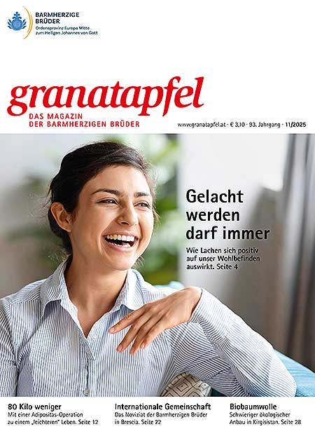 Das Bild ist ein Link zu den Highlights des Novemberheftes.