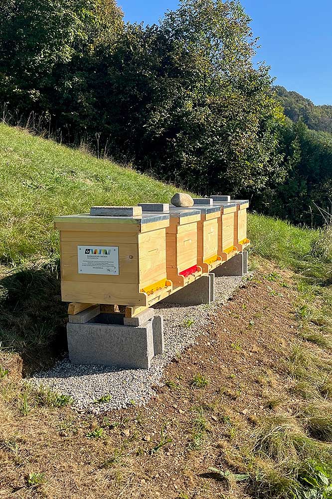 Das Bild zeigt Bienenstöcke in Graz-Eggenberg.