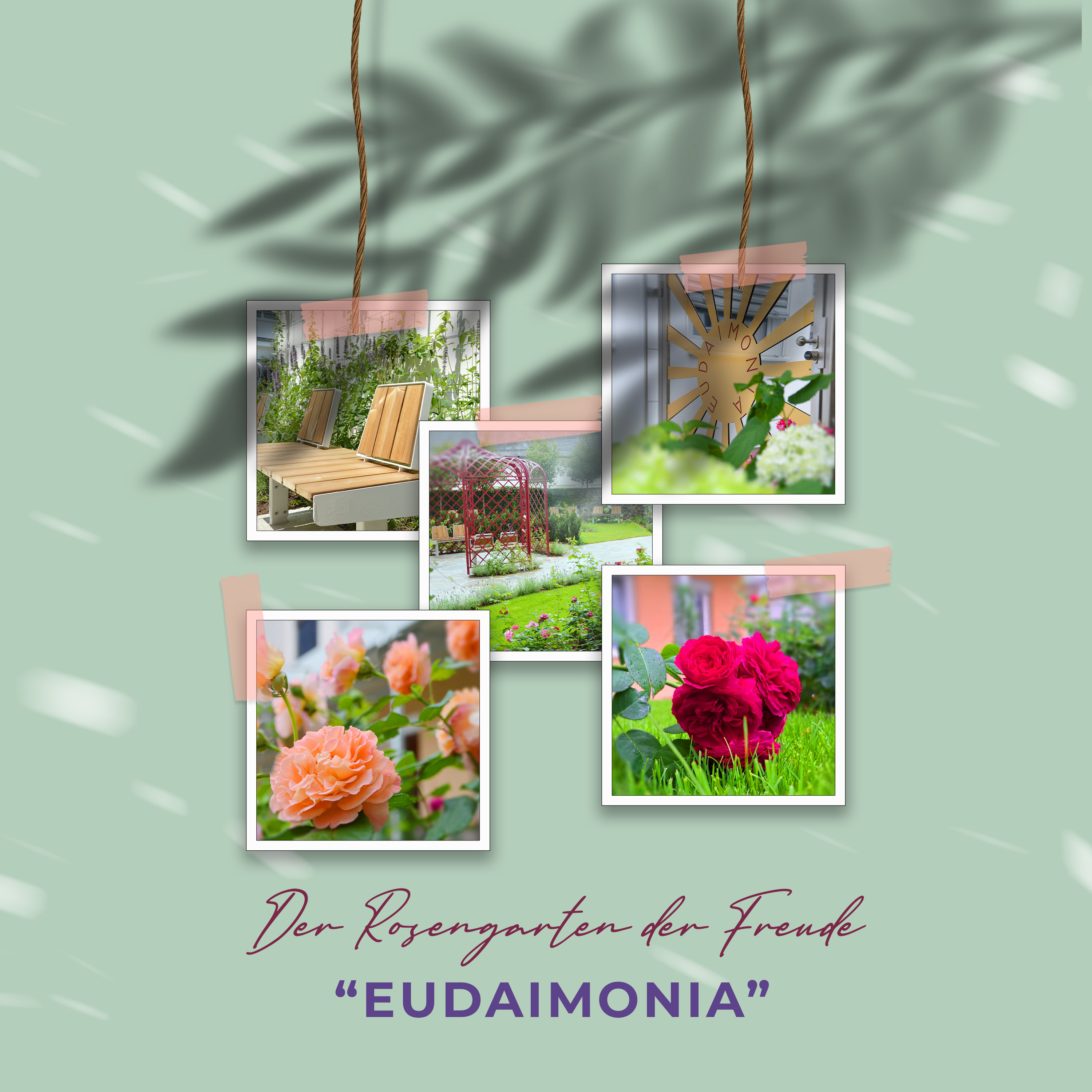 Rosengarten der Freude EUDAIMONIA / freepik Rosengarten der Freude EUDAIMONIA