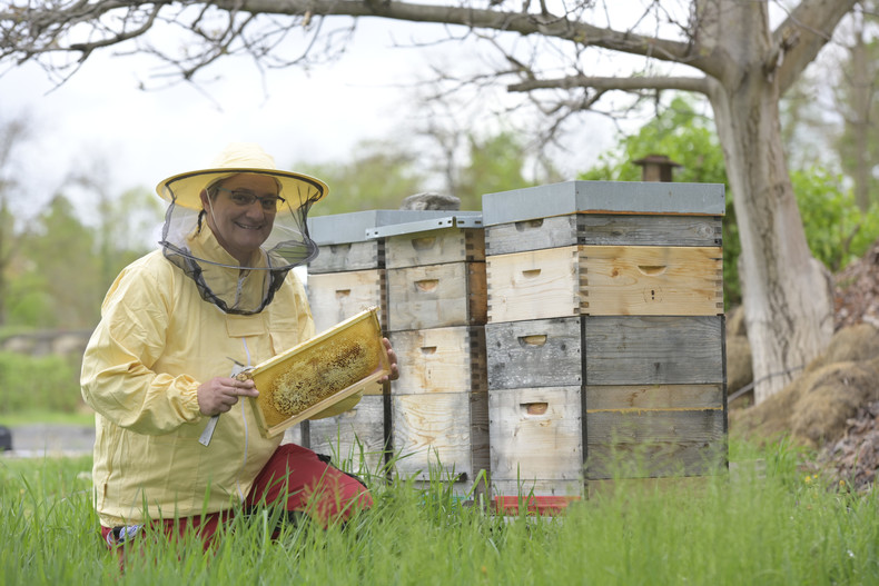 Ing. Michaela Kohlbacher-Schneider