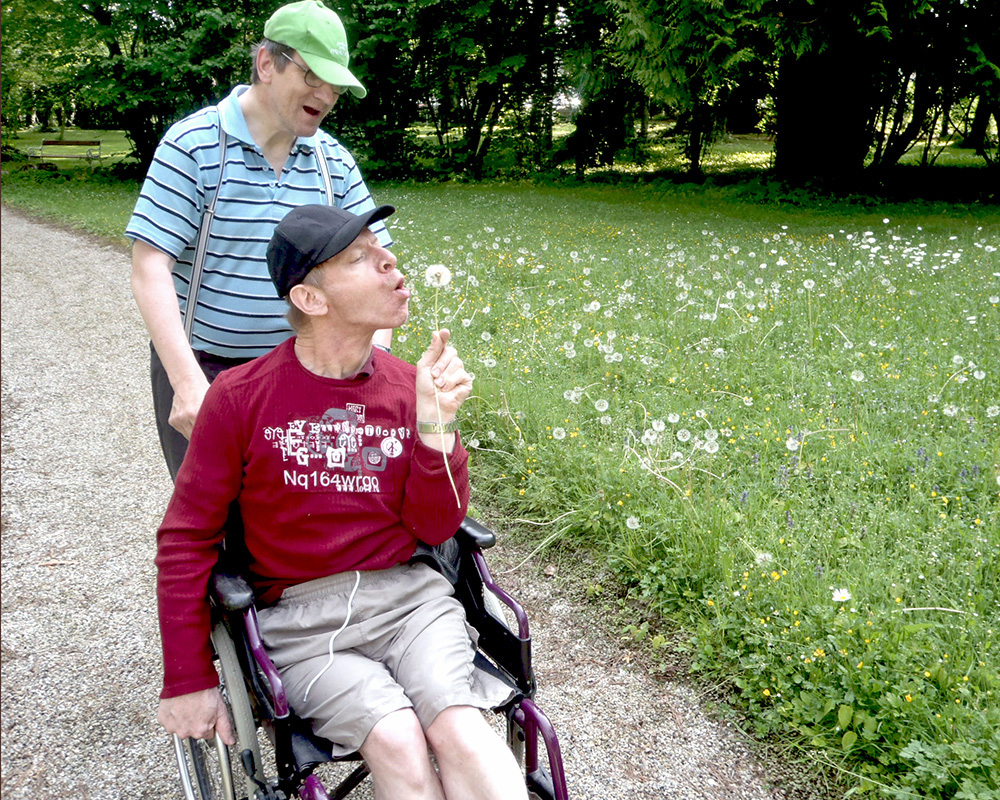 Tageskunden haben beim Spazieren Freude an einer Pusteblume