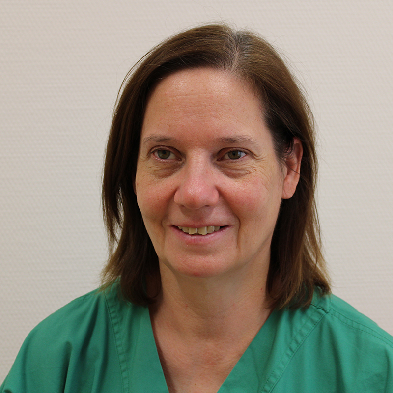 Barmherzige Brüder Wien