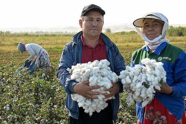 Das Bild ist ein Link zum Artikel über die Biobaumwolle aus Kirgistan.