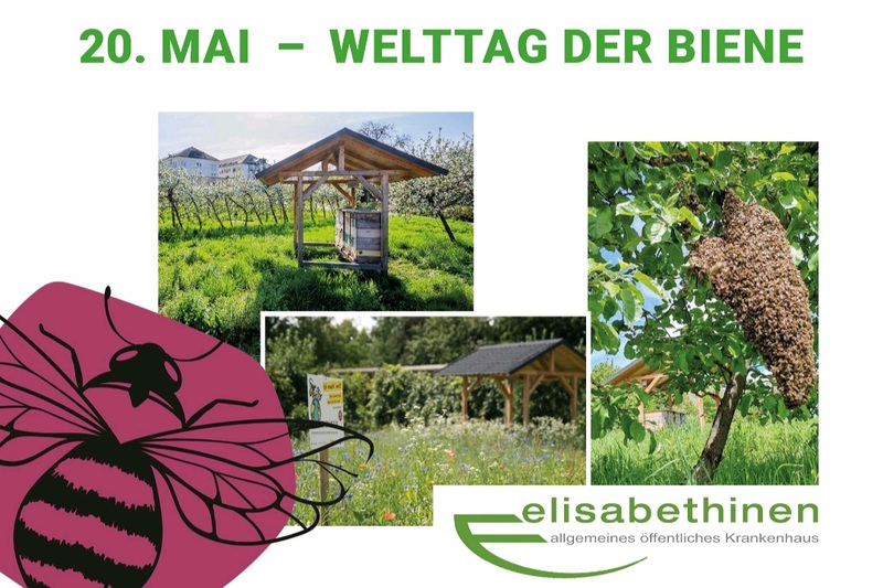Welttag der Biene / EKH Welttag der Biene