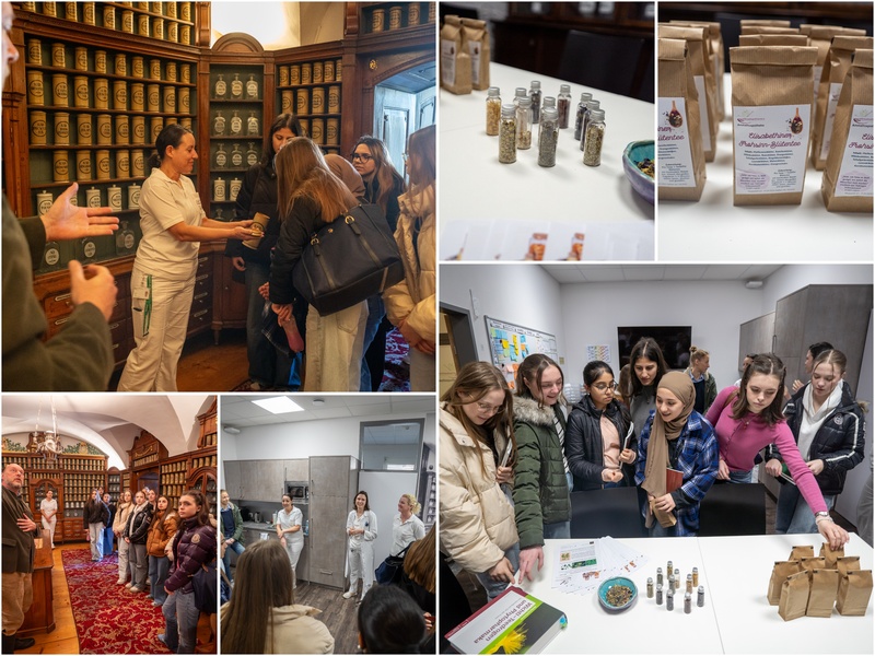 Collage Besuch Schulklasse Anstaltsapotheke / Freitag Manuel, #FreitagsFotos Auf Entdeckungstour in der Anstaltsapotheke des Elisabethinen-Krankenhauses Klagenfurt: Die Schülerinnen des Europagymnasiums erkundeten unter anderem die historische Rokoko-Apotheke des Elisabethinen-Krankenhauses, begleiteten die Produktion des „Fr