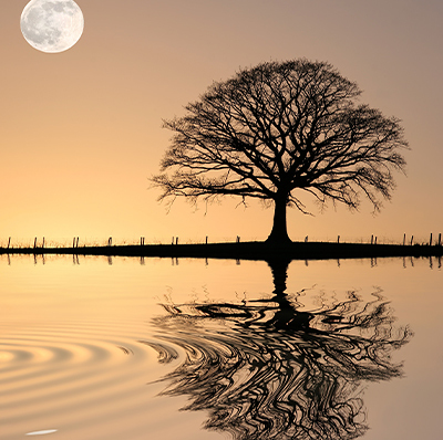 Symbolbild Spiritualität