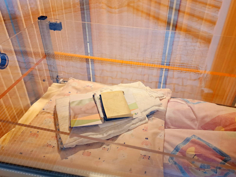 Das Babynest befindet sich in der Parkgasse 3 in St. Veit (Stiegenbereich).