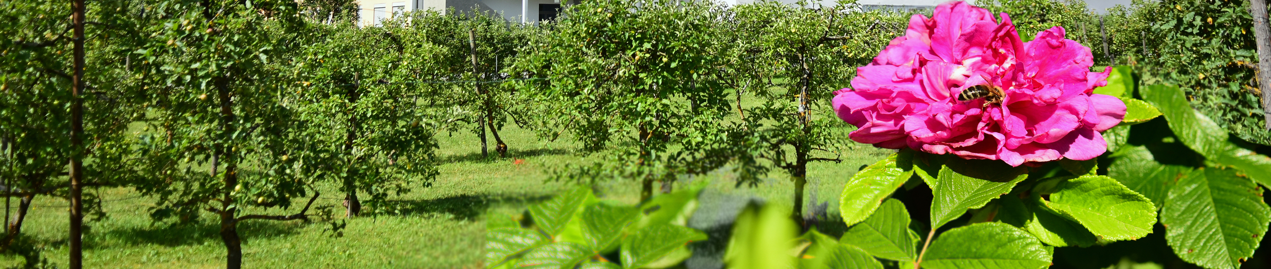 Nachhaltigkeit im EKH
