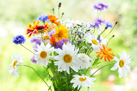 bouquet of summer flowers on green background