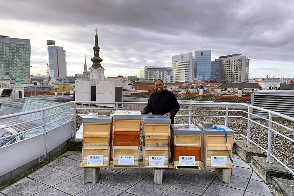 Pater Provinzial Saji Mullankuzhy mit Bienenstöcken auf dem Dach des Wiener Krankenhauses / Barmherzige Brüder Das Bild zeigt Pater Provinzial Saji Mullankuzhy mit Bienenstöcken auf dem Dach des Wiener Krankenhauses.