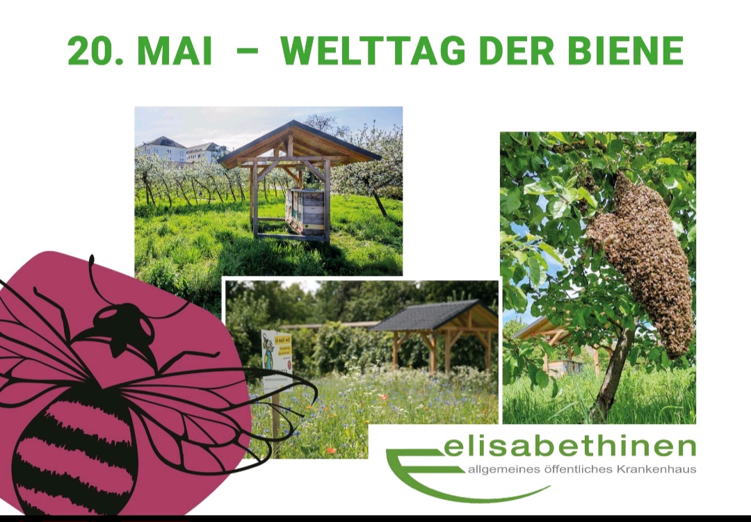 Welttag der Biene