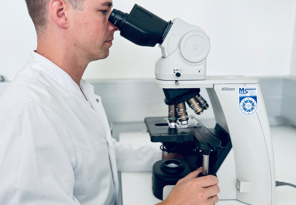 Labor / Wissenschaften