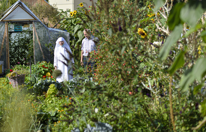 Therapiepark f?r Drogens?chtige bei den Elisabethinen