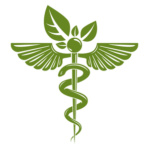 Caduceus symbol composed with poisonous snakes and bird wings, healthcare conceptual vector illustration. Alternative medicine theme.