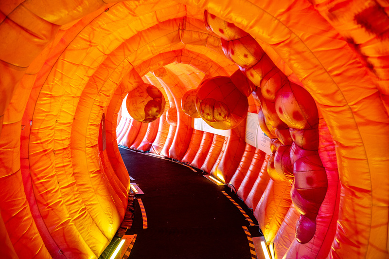 (C) Thomas Hude, Thomas Hude My Life, Infotage, Darmgesundheit, Fuchspalast, St. Veit, Krankenhaus Barmherzige Brüder St. Veit, Katja Kommt!, Foto Thomas Hude, 14.10.2023